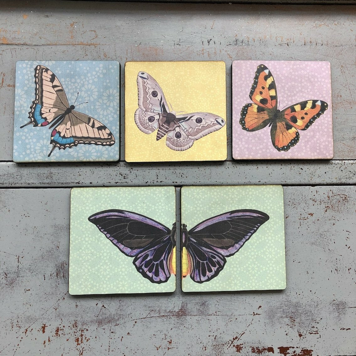 Coasters Set of 5 BUTTERFLIES
