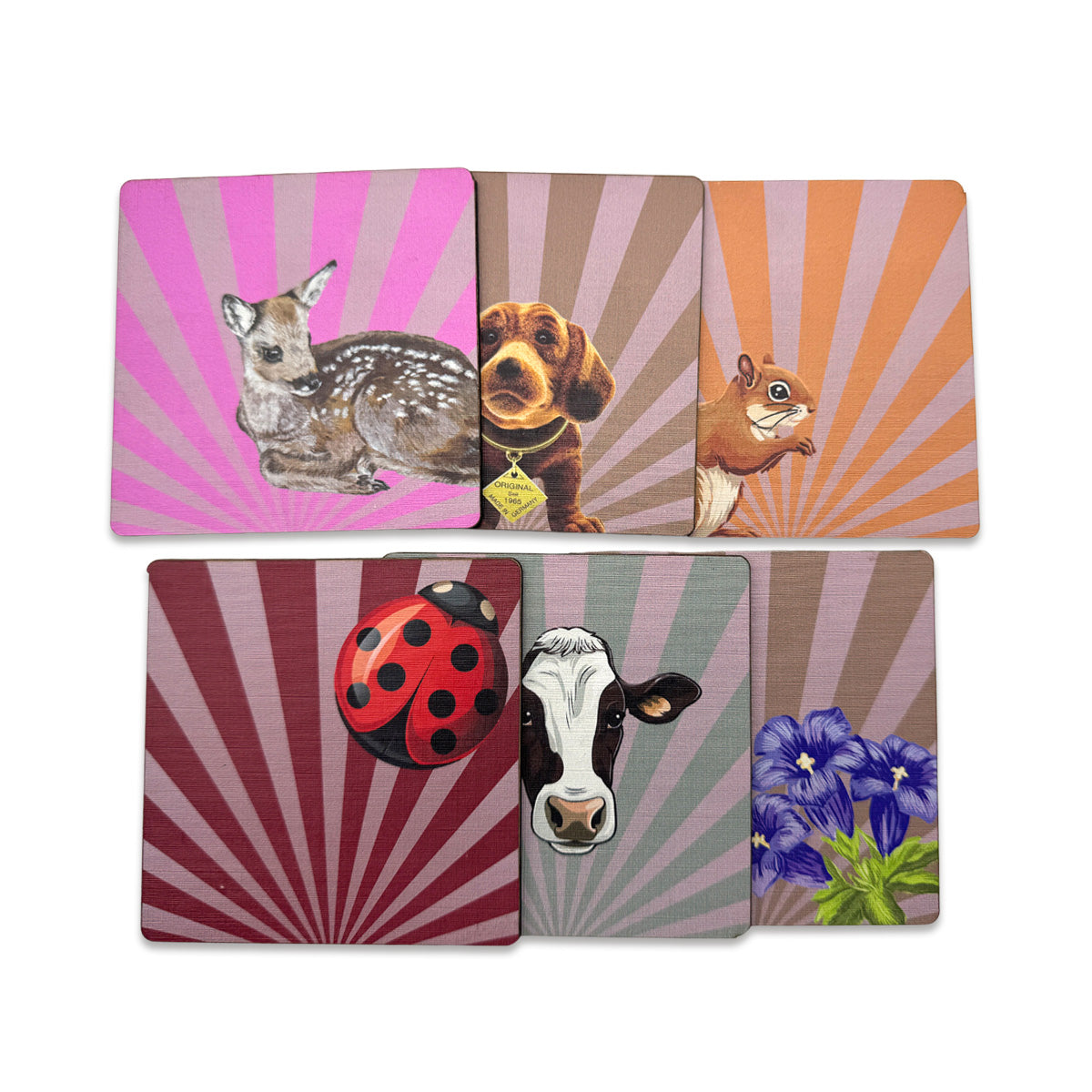 6-piece Coaster Set Beach