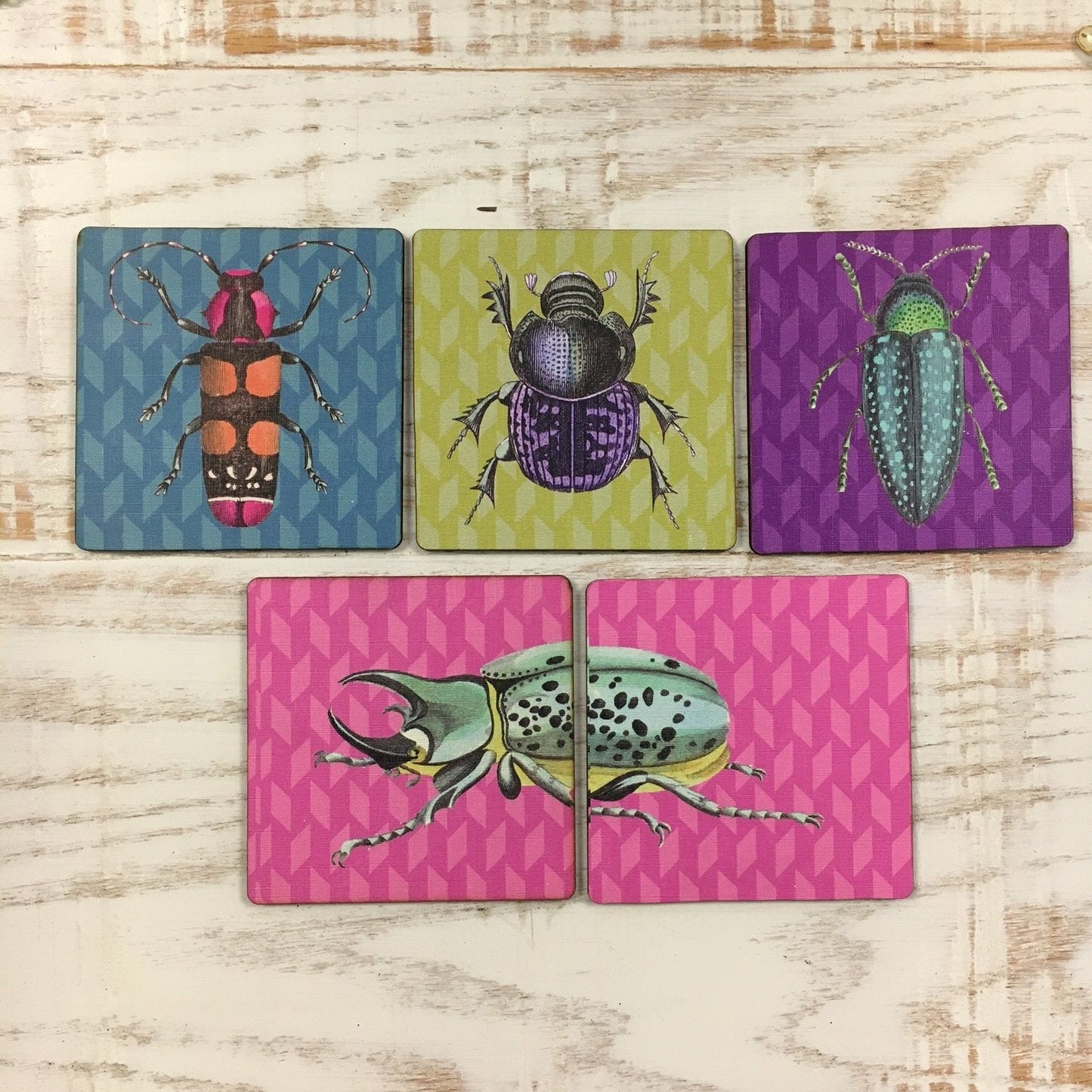 Lot de 5 sous-verres BEETLES