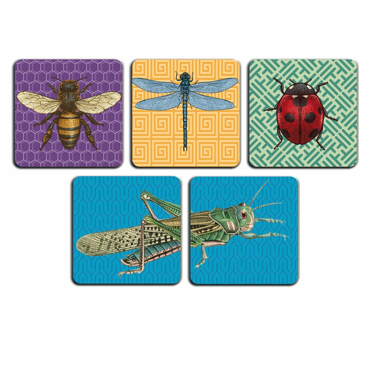 Lot de 5 sous-verres INSECTES