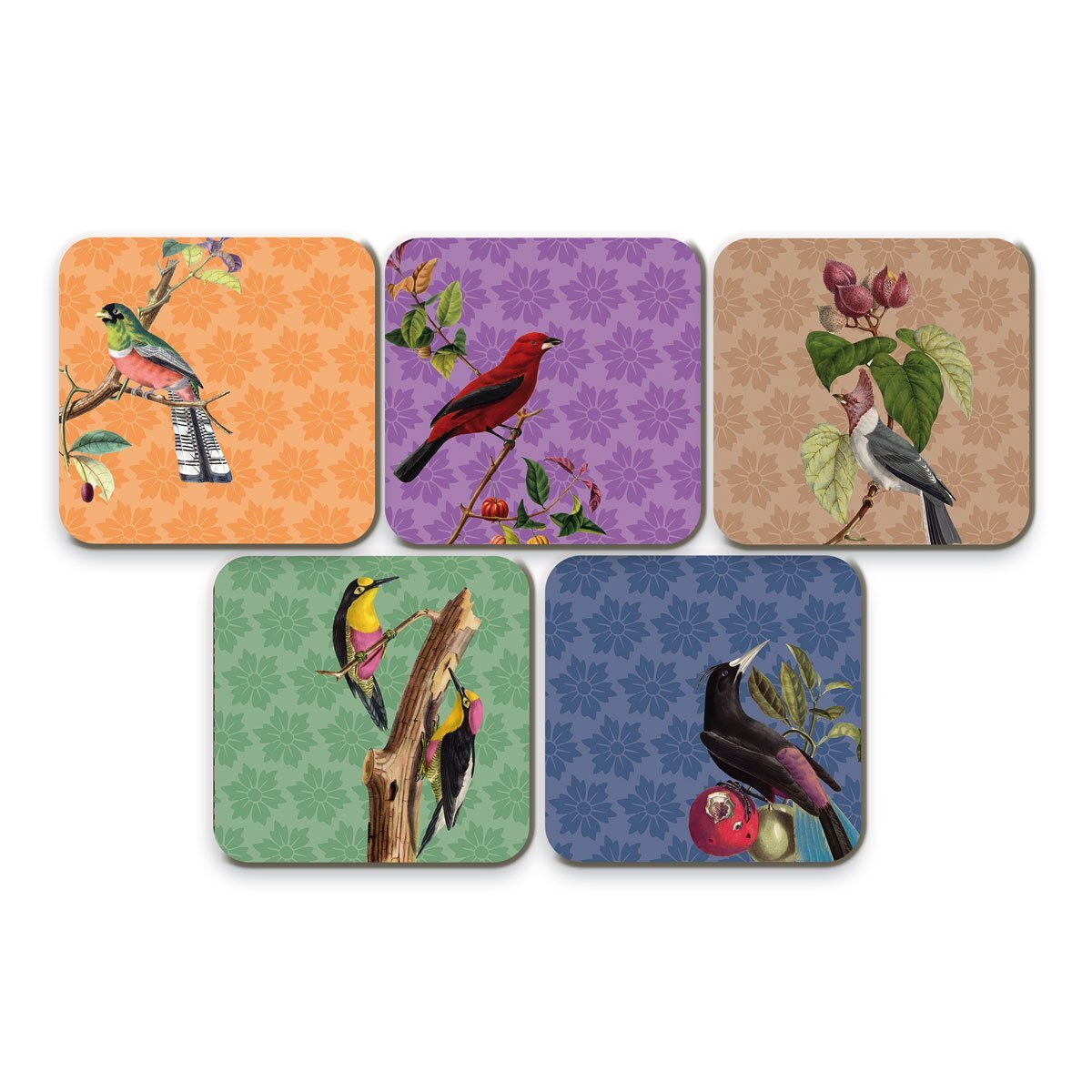 Lot de 5 sous-verres OISEAUX