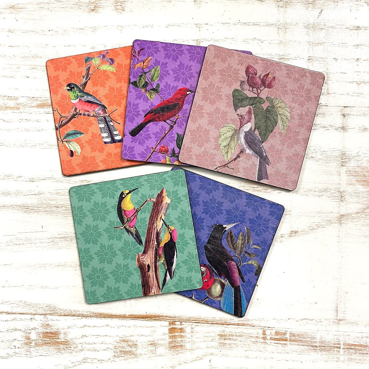 Lot de 5 sous-verres OISEAUX
