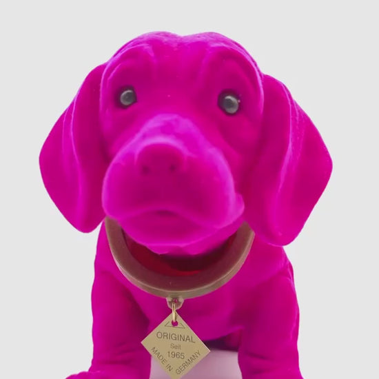 Escapulario Original Wackeldackel Groß Pink Flock als auffälliges pinkes Autozubehör fürs Armaturenbrett als lebhafte Retro Deko und Geschenk für Autoliebhaber.